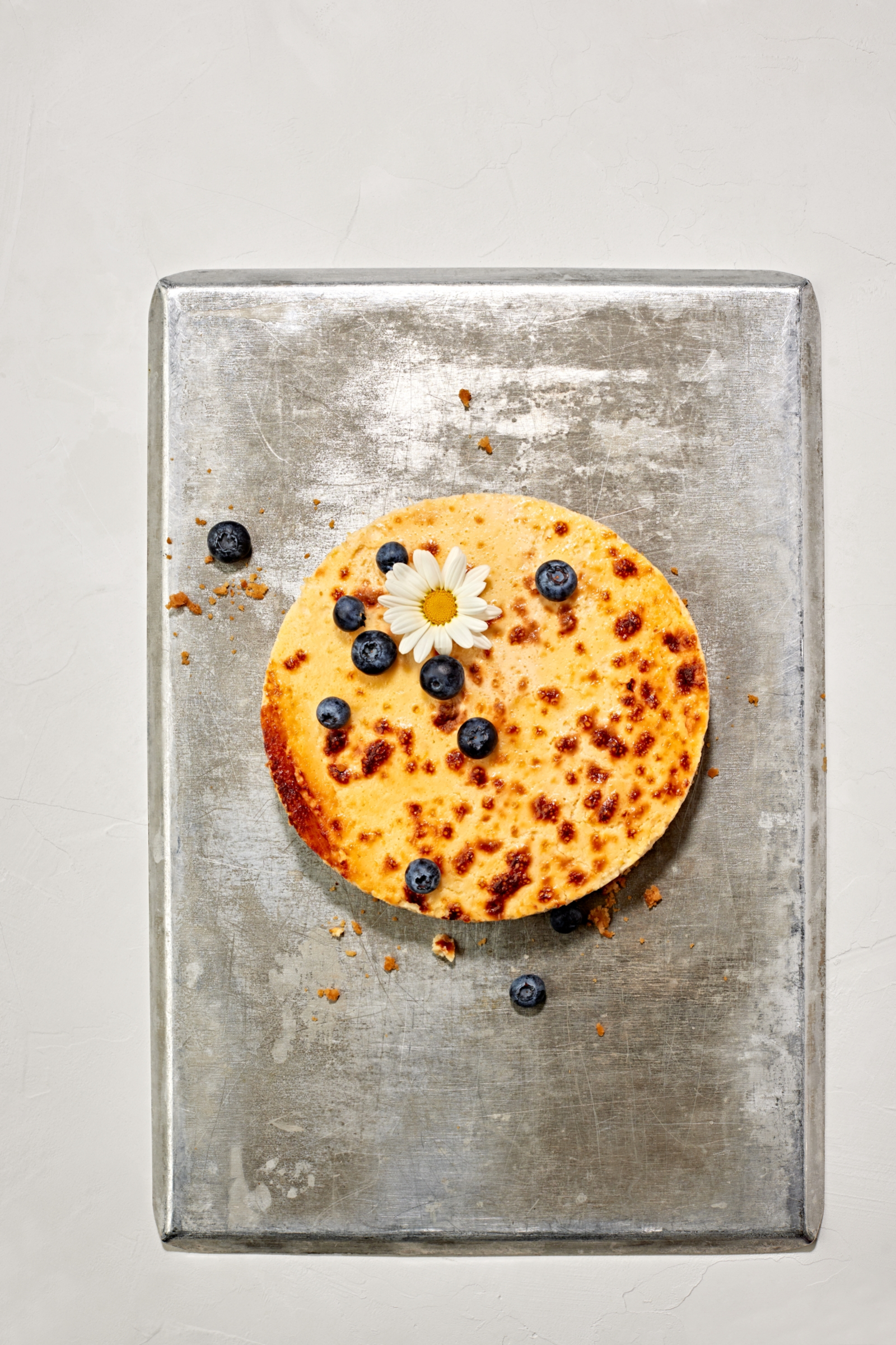 Zitronen-Cheesecake